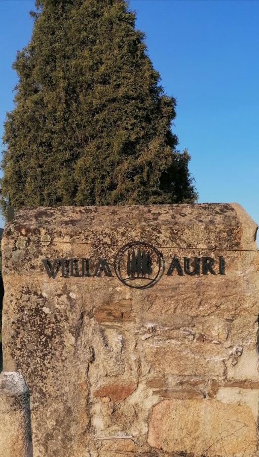 Villa Auri Вила Нова ди Фош Коа Екстериор снимка