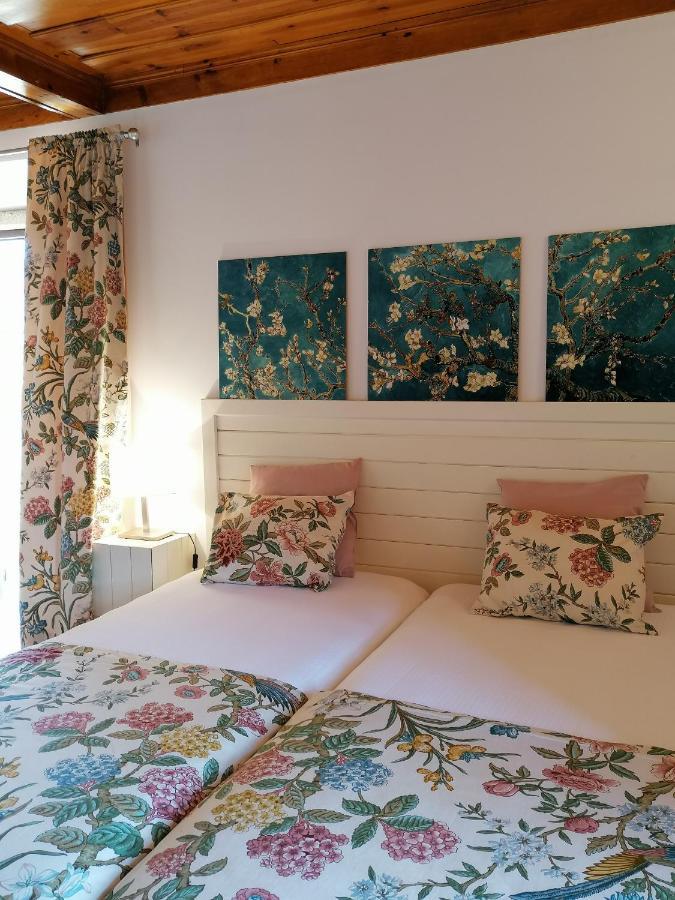 Villa Auri Вила Нова ди Фош Коа Екстериор снимка