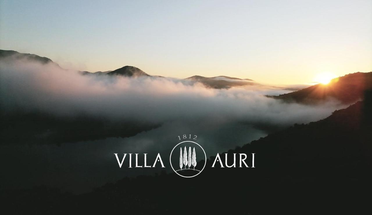 Villa Auri Вила Нова ди Фош Коа Екстериор снимка